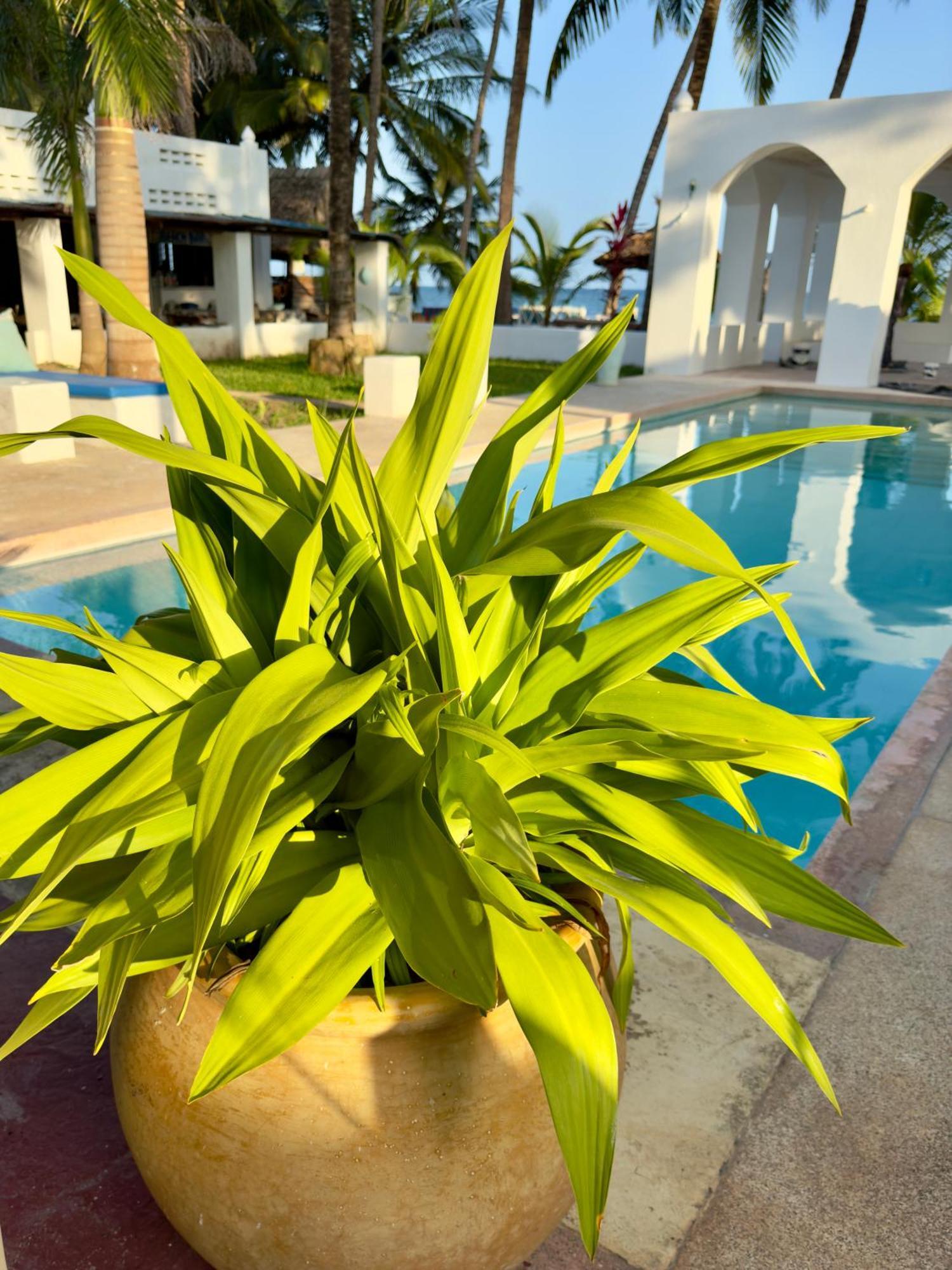 Sawa Sawa Beach House Msambweni Екстер'єр фото
