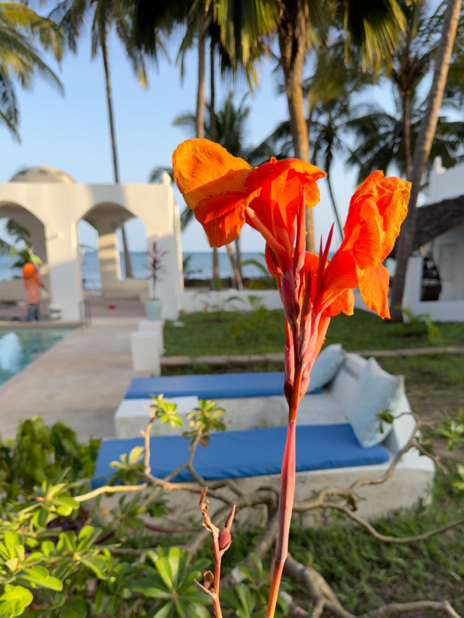 Sawa Sawa Beach House Msambweni Екстер'єр фото